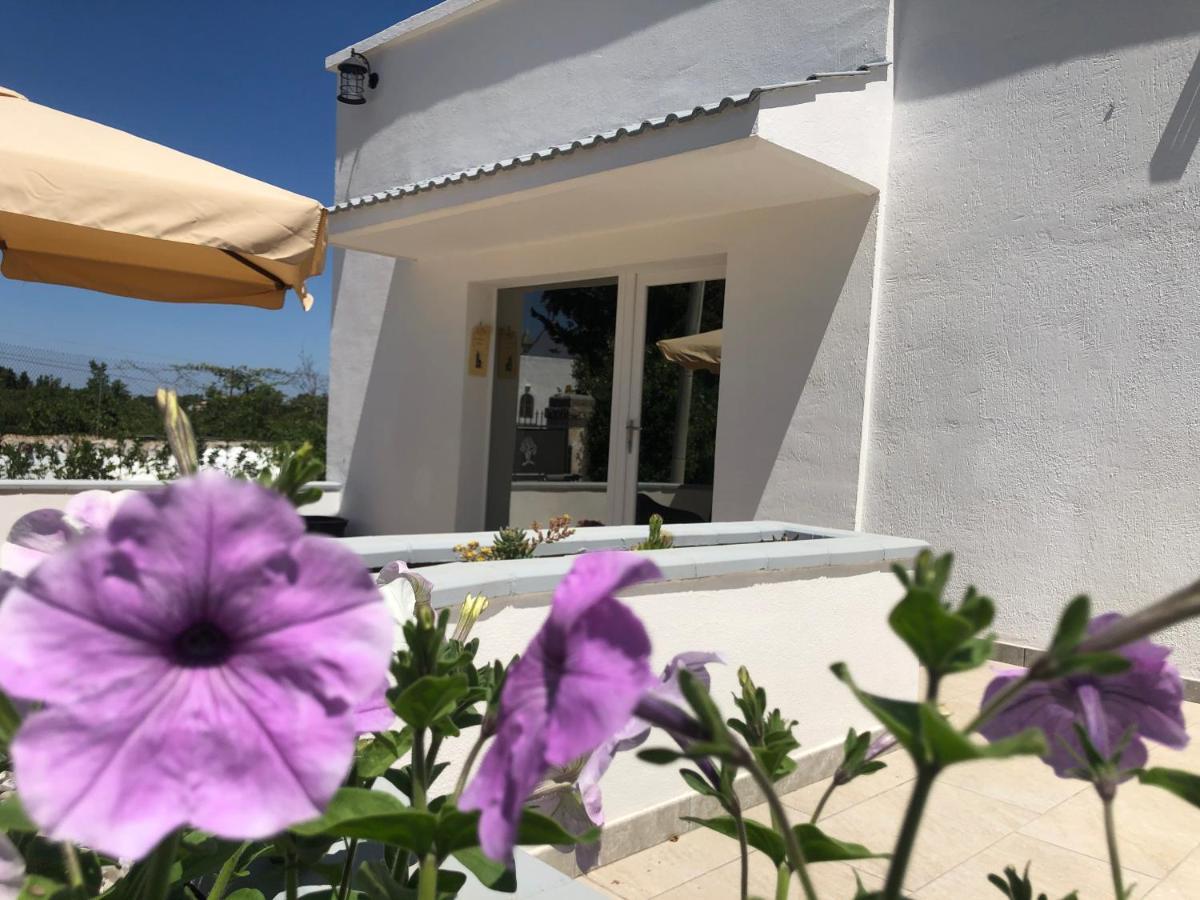 Casa Vacanza i Cedri Martina Franca Exterior foto